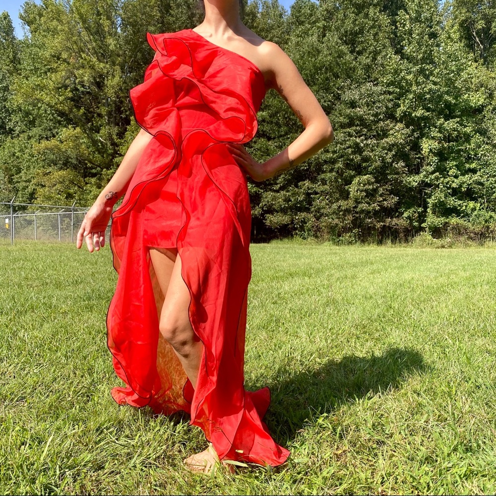 “Elena” Organza Ruffle Maxi Dress